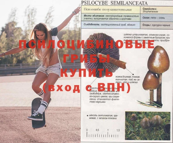ALPHA-PVP Кинешма