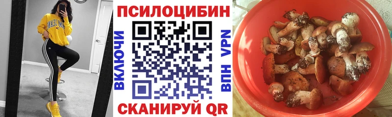 Купить где  Дмитровск  Галлюциногенные грибы мицелий 