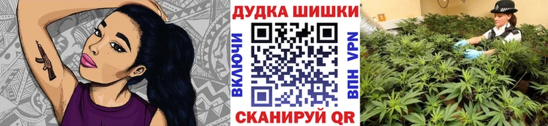 Купить  Дмитровск  Бошки Шишки ГИДРОПОН 